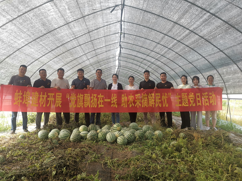 我為群眾辦實事｜蚌埠建材開展“黨旗飄揚在一線 助農(nóng)采摘解民憂”主題黨日活動-8.18.jpg